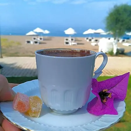 酒店 Palmiye