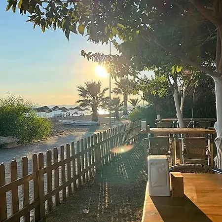 酒店 Palmiye