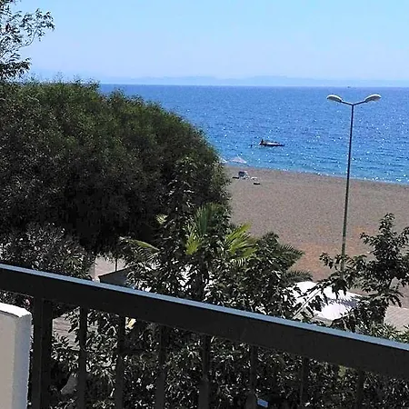 Palmiye * 奥兹德雷