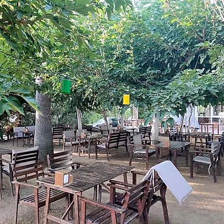 Palmiye Отель Оздере