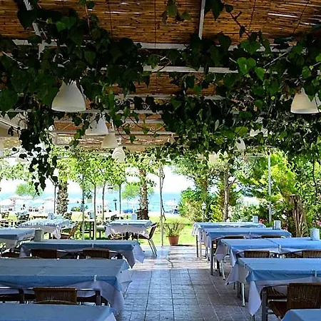 Palmiye 酒店